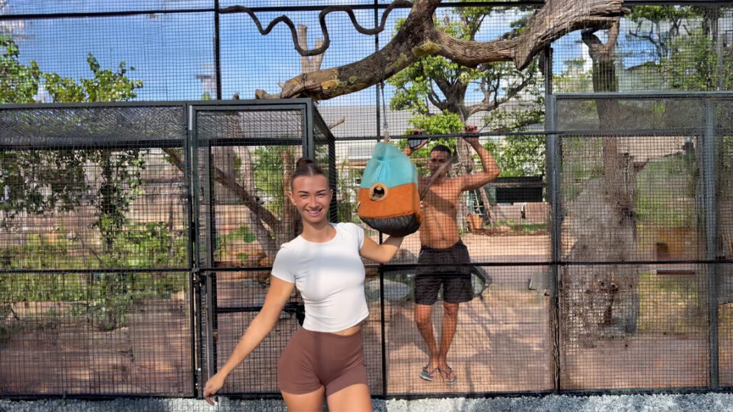 Meli Jane and the new generation of immersive TikTok creators Meli Jane and the new generation of immersive TikTok creators