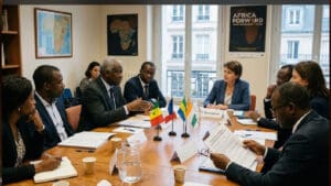 France-Africa: Towards a New Generation of Partnerships